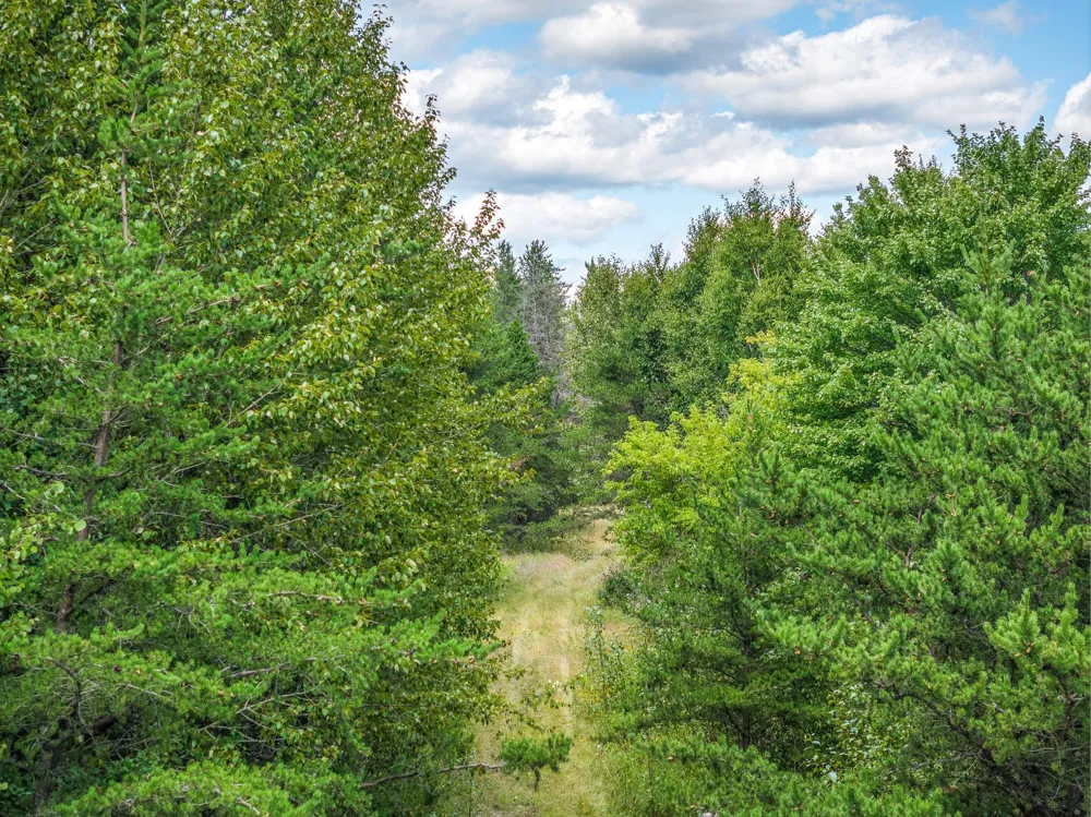 Tract B Highway 21 Babbitt, MN 55706