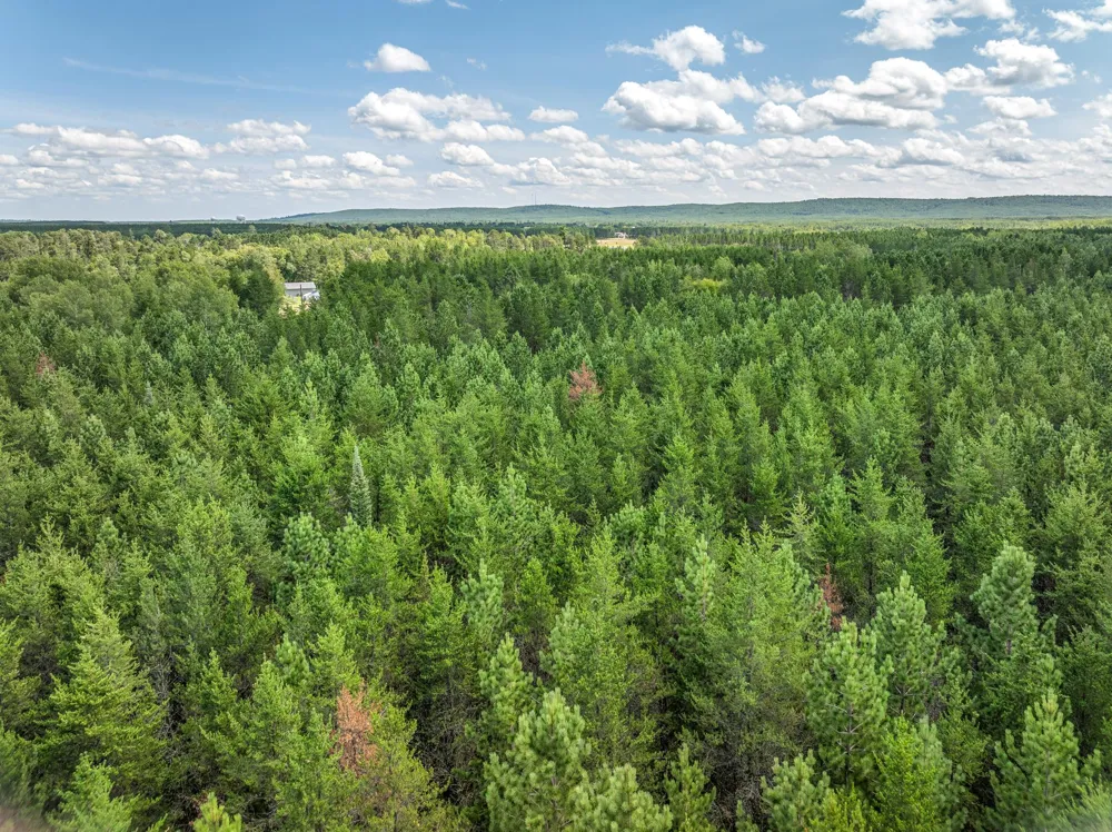 Tract B Highway 21 Babbitt, MN 55706