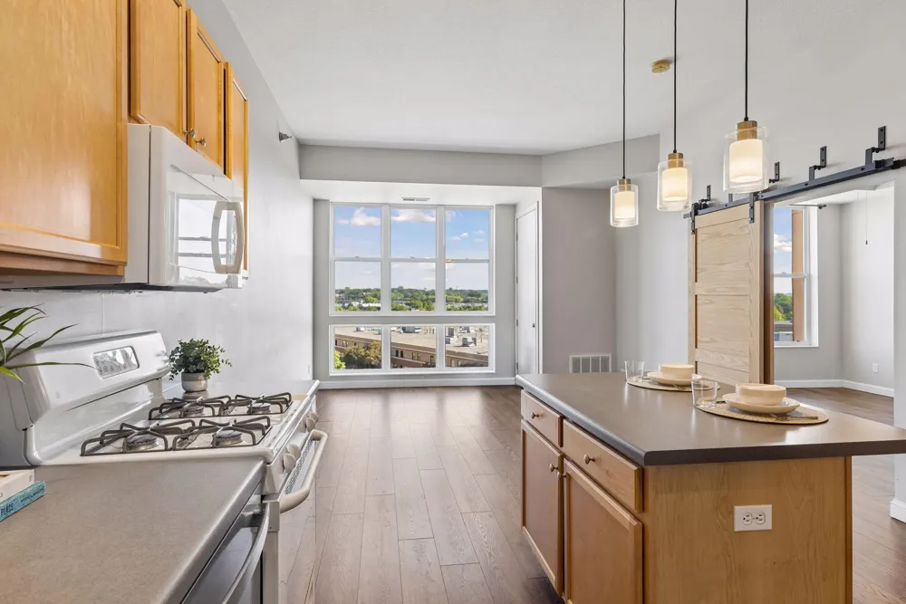2650 University Avenue W #523 Saint Paul, MN 55114