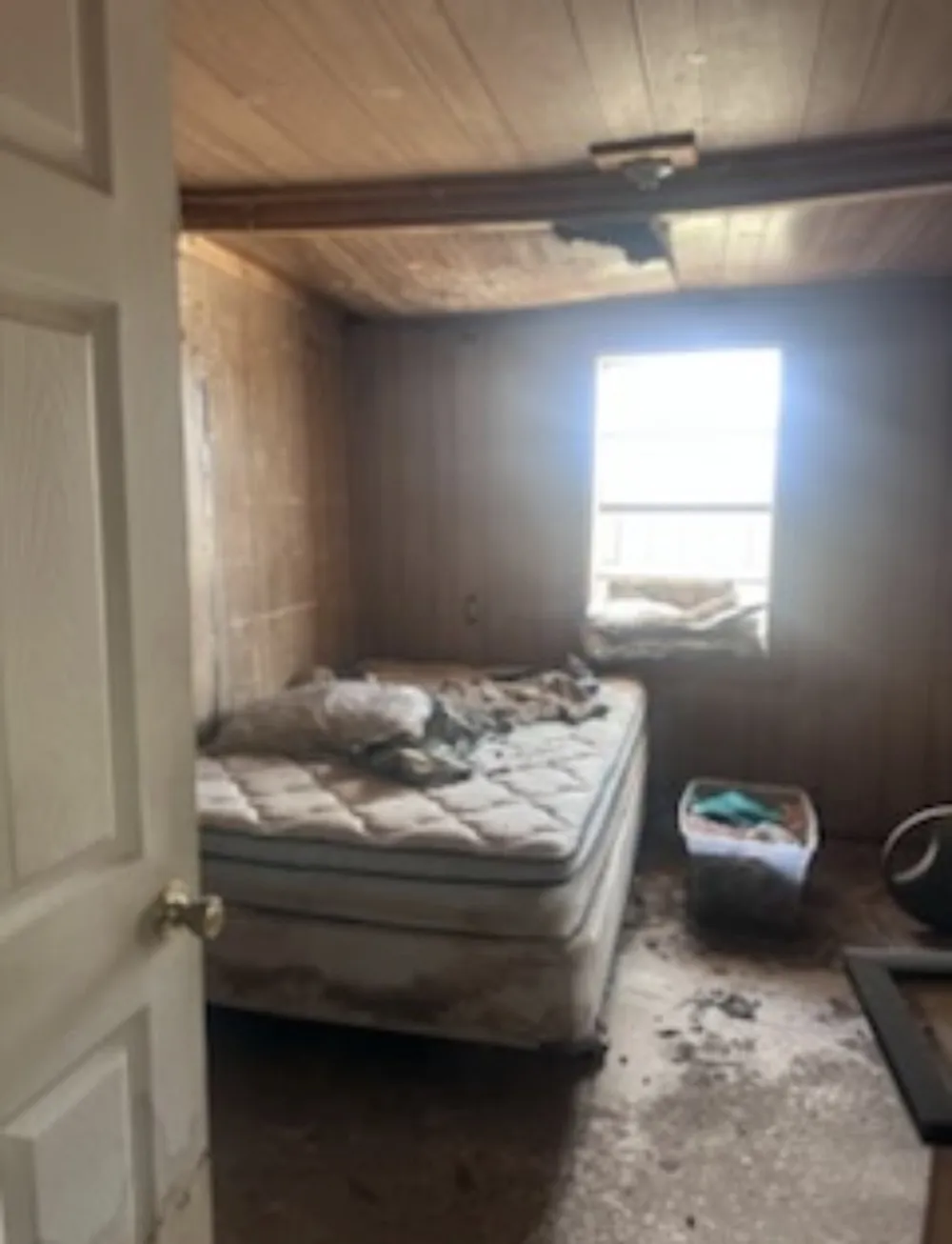 7625 S Steve Lane Pharr, TX 78577