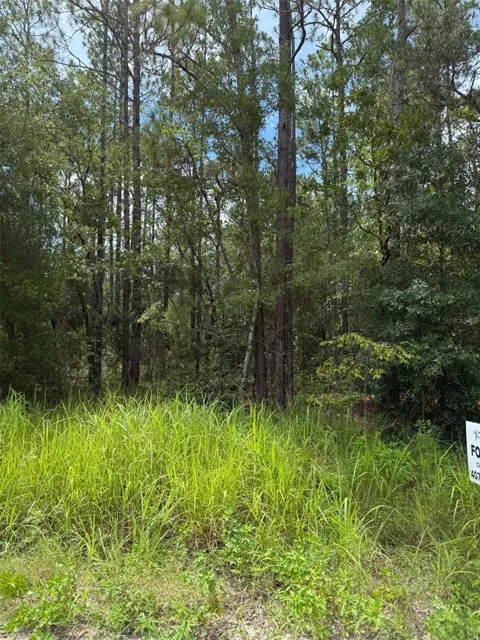 4500 SW 175 COURT