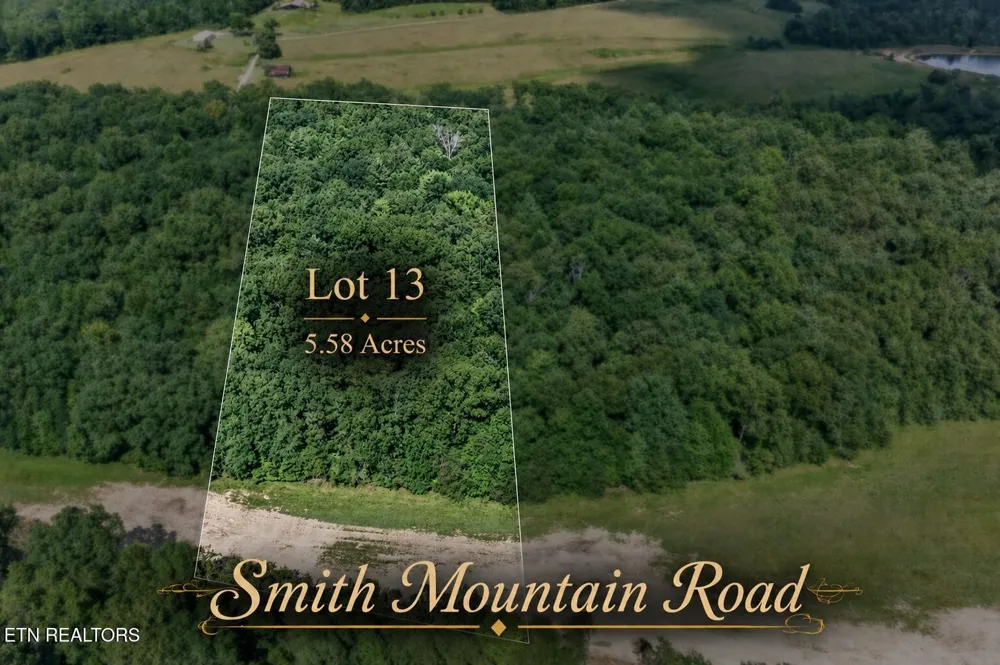 13 Smith Mountain Rd Rockwood, TN 37854