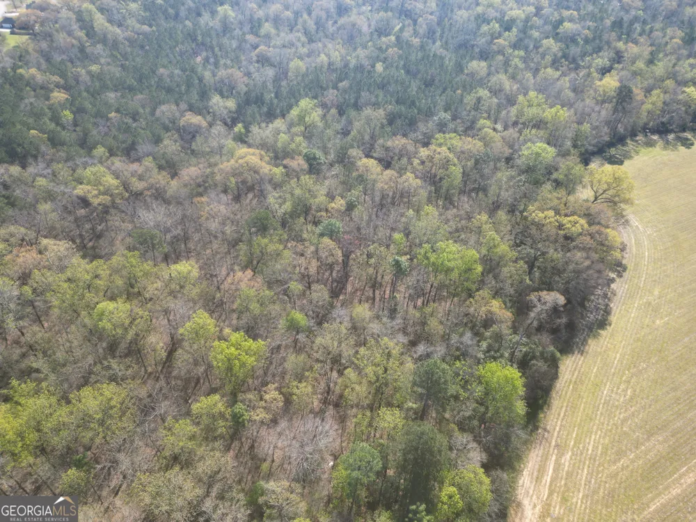 0 Hwy 247 Connector Byron, GA 31008