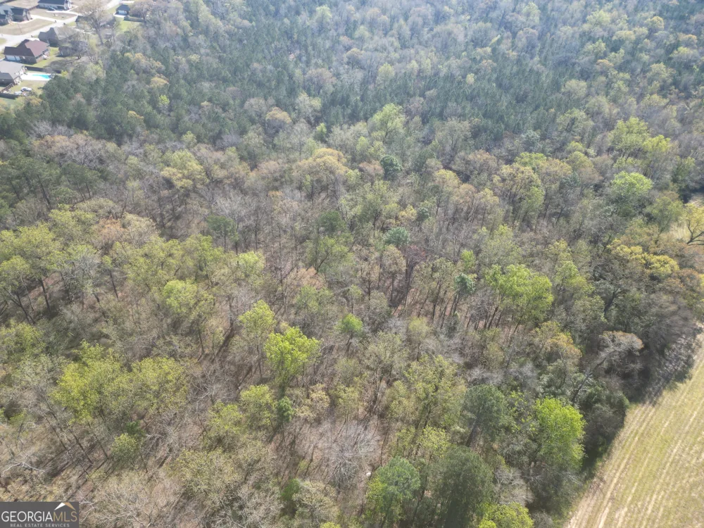 0 Hwy 247 Connector Byron, GA 31008