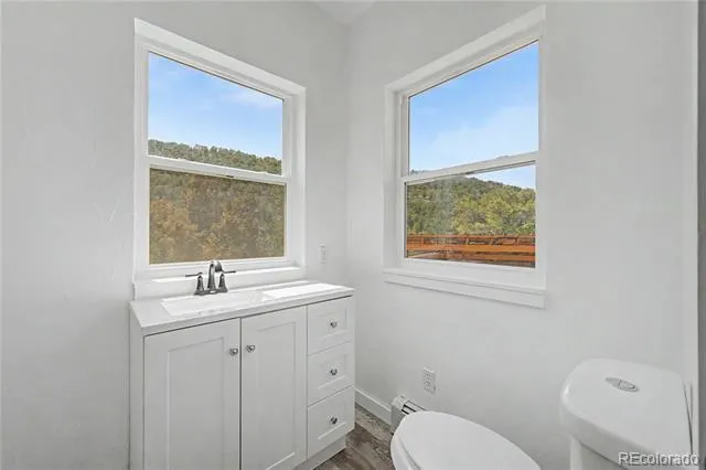 1617 Pierce Gulch Road Cotopaxi, CO 81223