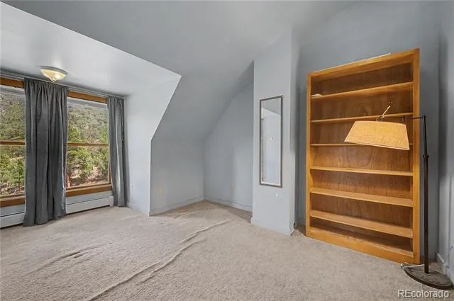 1617 Pierce Gulch Road Cotopaxi, CO 81223