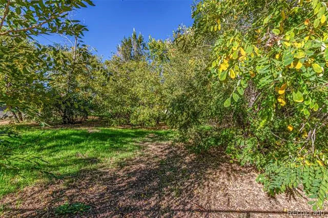 1209 Alton Street Aurora, CO 80010