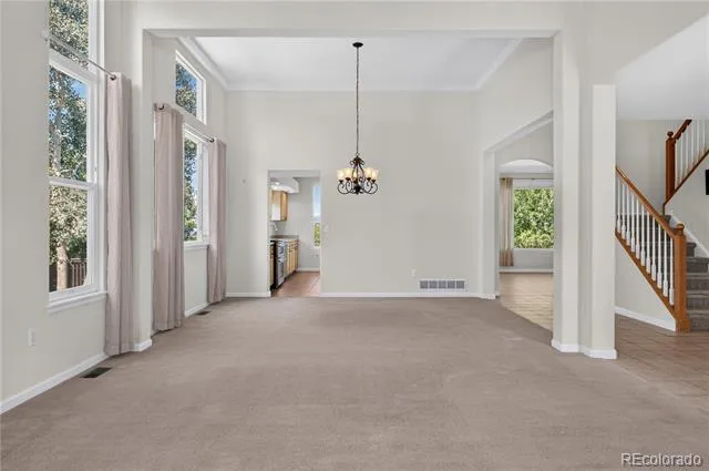 21423 Unbridled Drive Parker, CO 80138