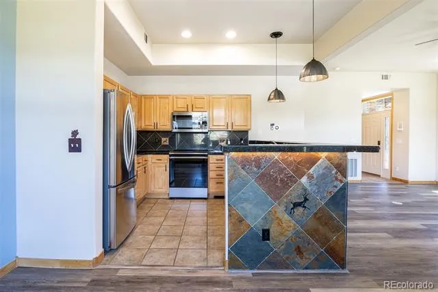 170 Allegra Drive #170 Silverthorne, CO 80498