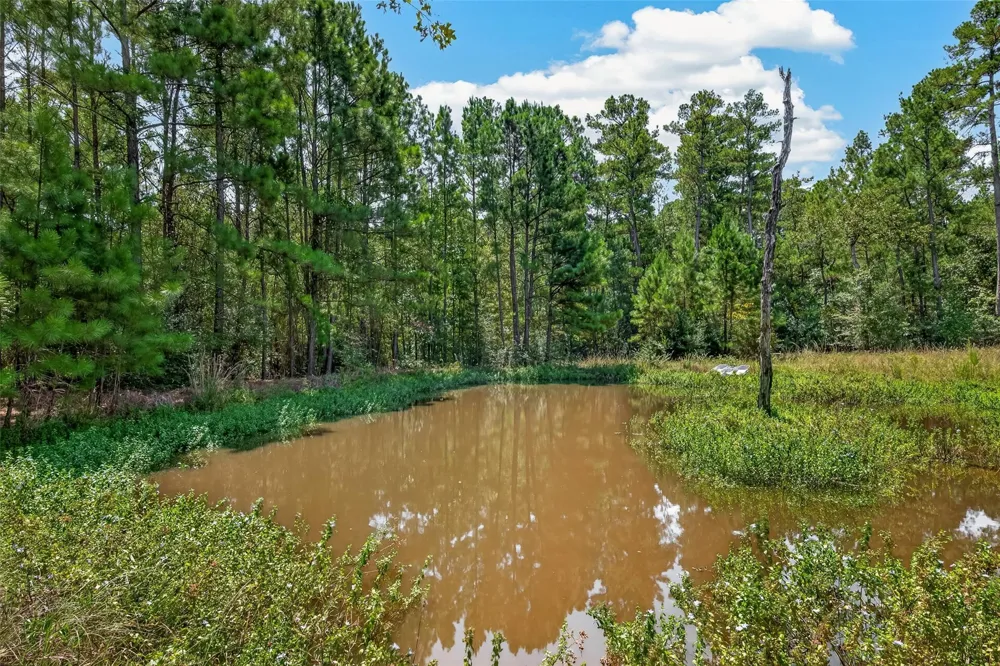 27 Pinedale Subd Rd Huntsville, TX 77320