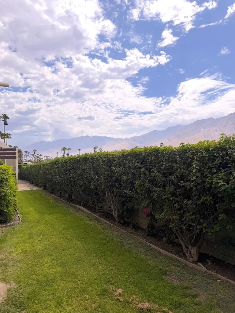 1655 E Palm Canyon Drive #307 Palm Springs, CA 92264