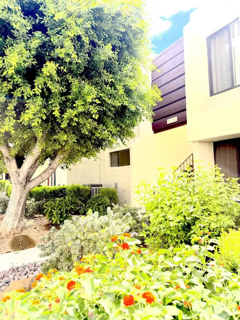 1655 E Palm Canyon Drive #307 Palm Springs, CA 92264