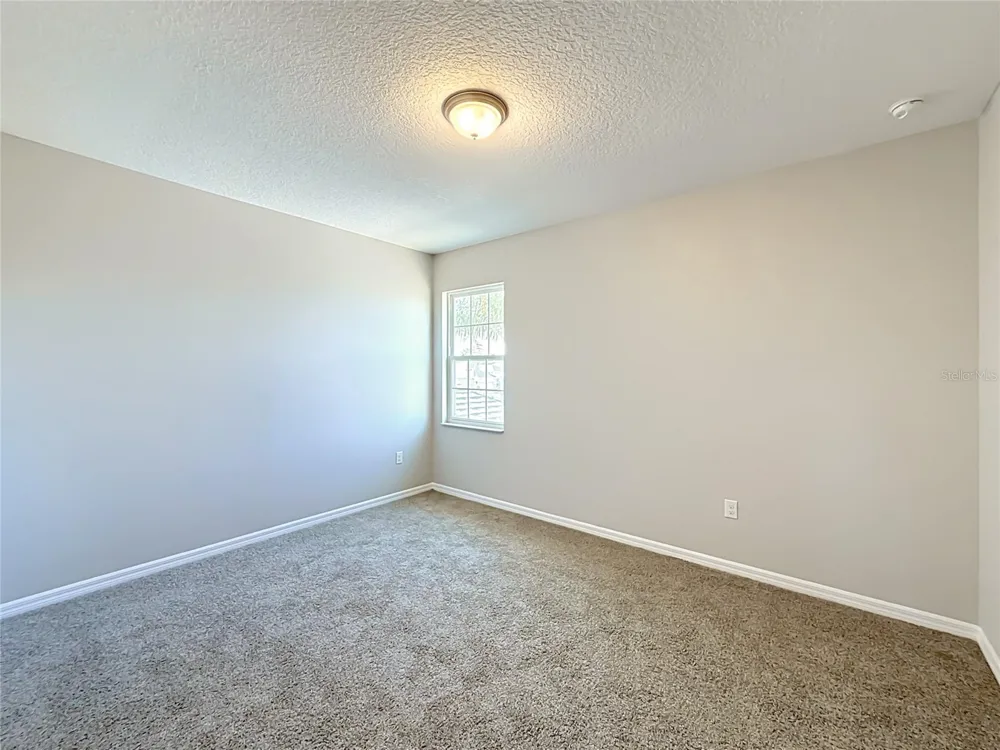 3319 BETHPAGE LOOP Mount Dora, FL 32757