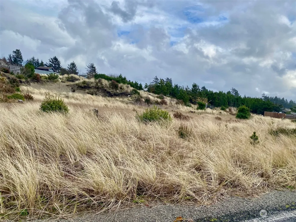 802 347th Place Ocean Park, WA 98640