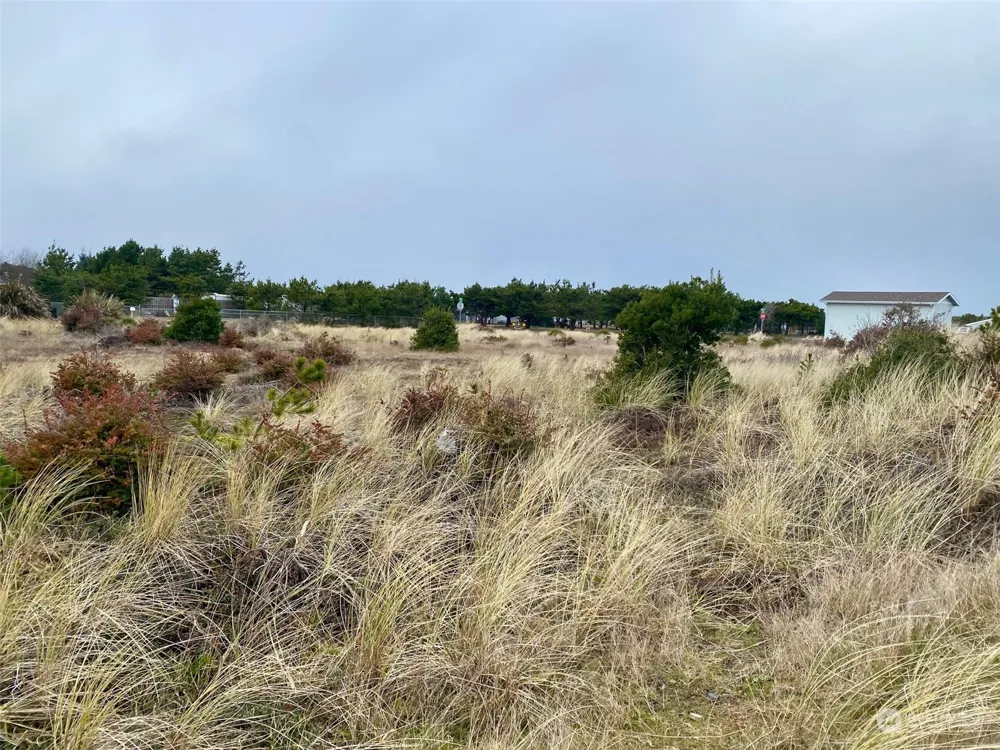 802 347th Place Ocean Park, WA 98640