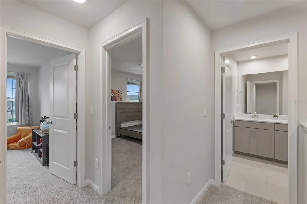 19431 MONARCH WIND WAY Lutz, FL 33558