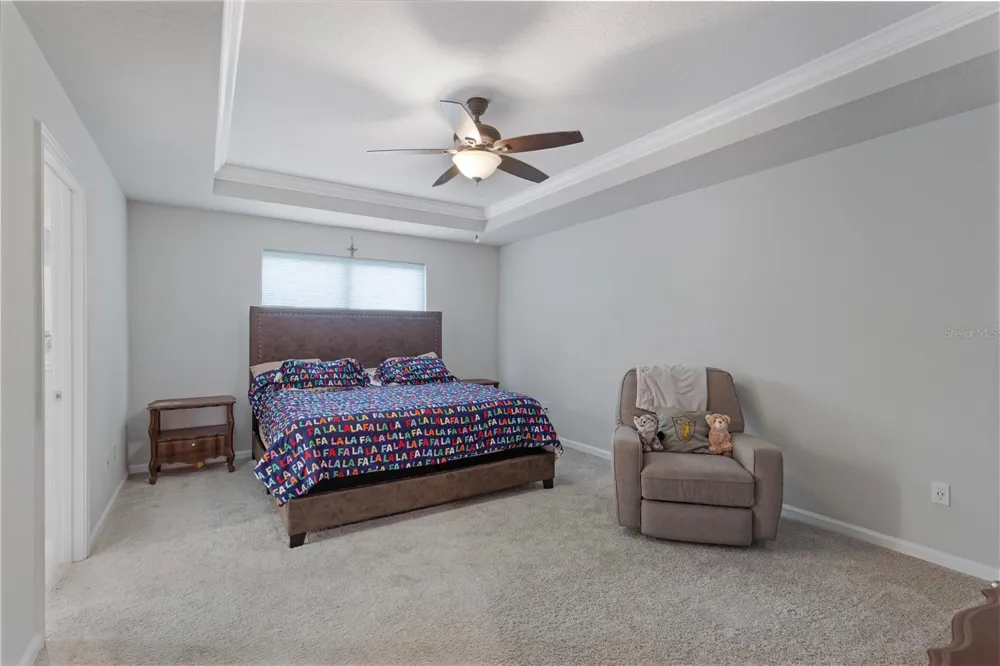 19431 MONARCH WIND WAY Lutz, FL 33558