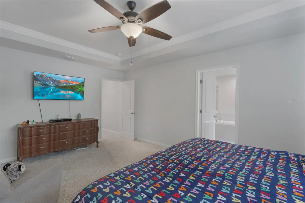 19431 MONARCH WIND WAY Lutz, FL 33558