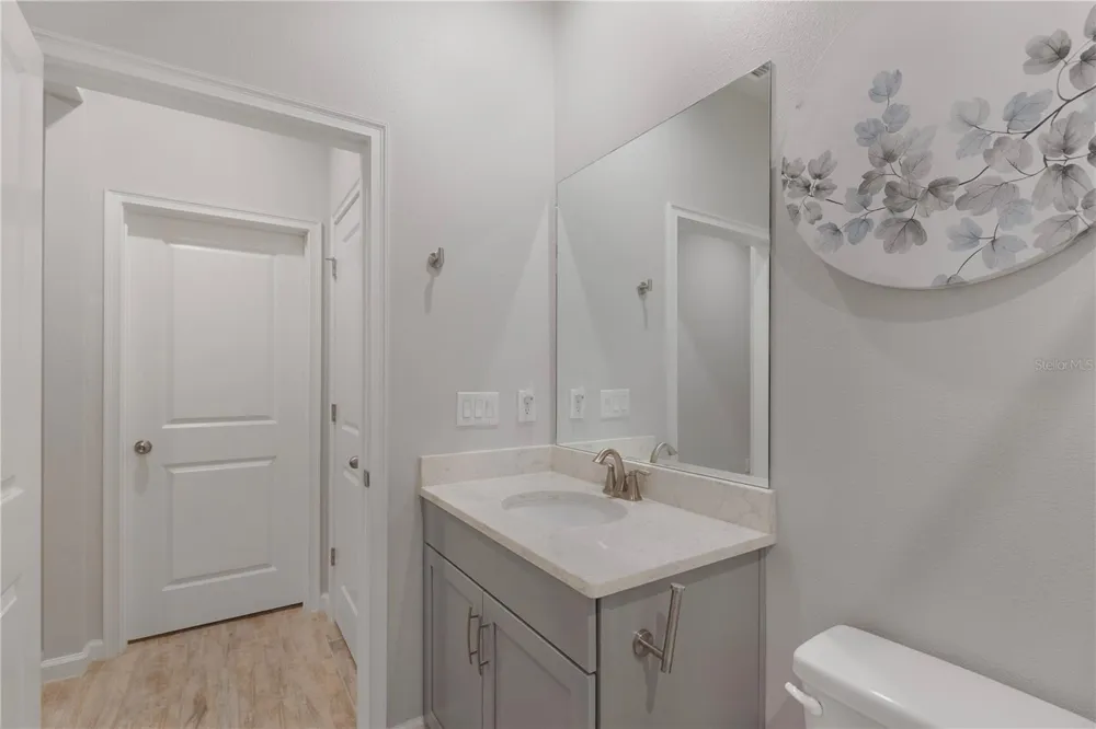 19431 MONARCH WIND WAY Lutz, FL 33558