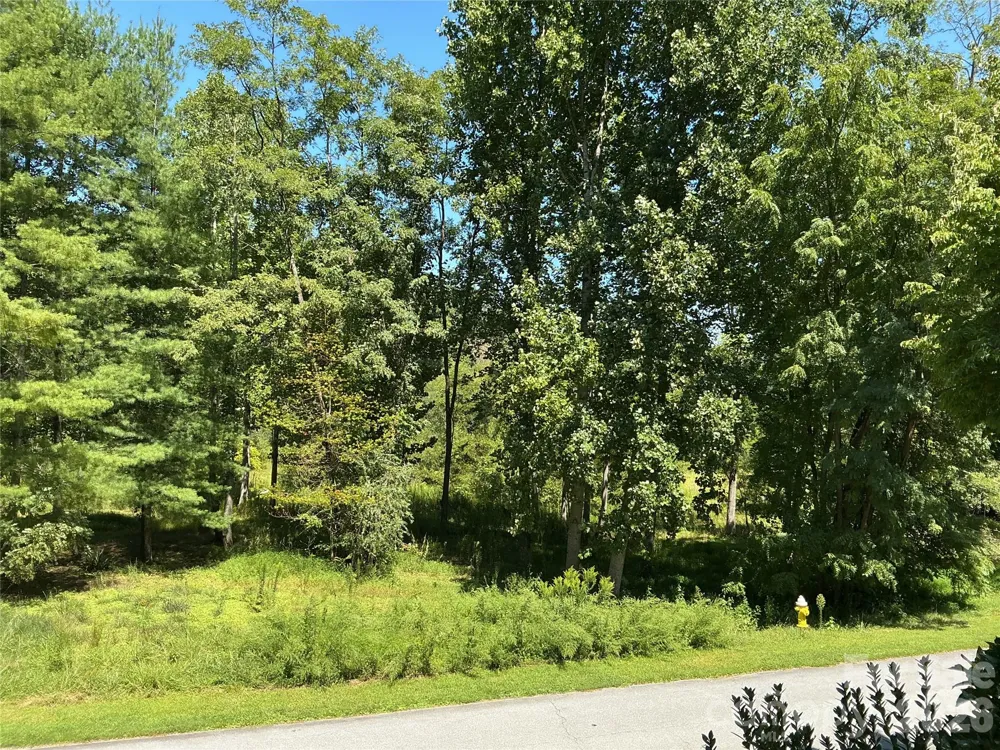 47 Lake Drive #K 5 Laurel Park, NC 28739