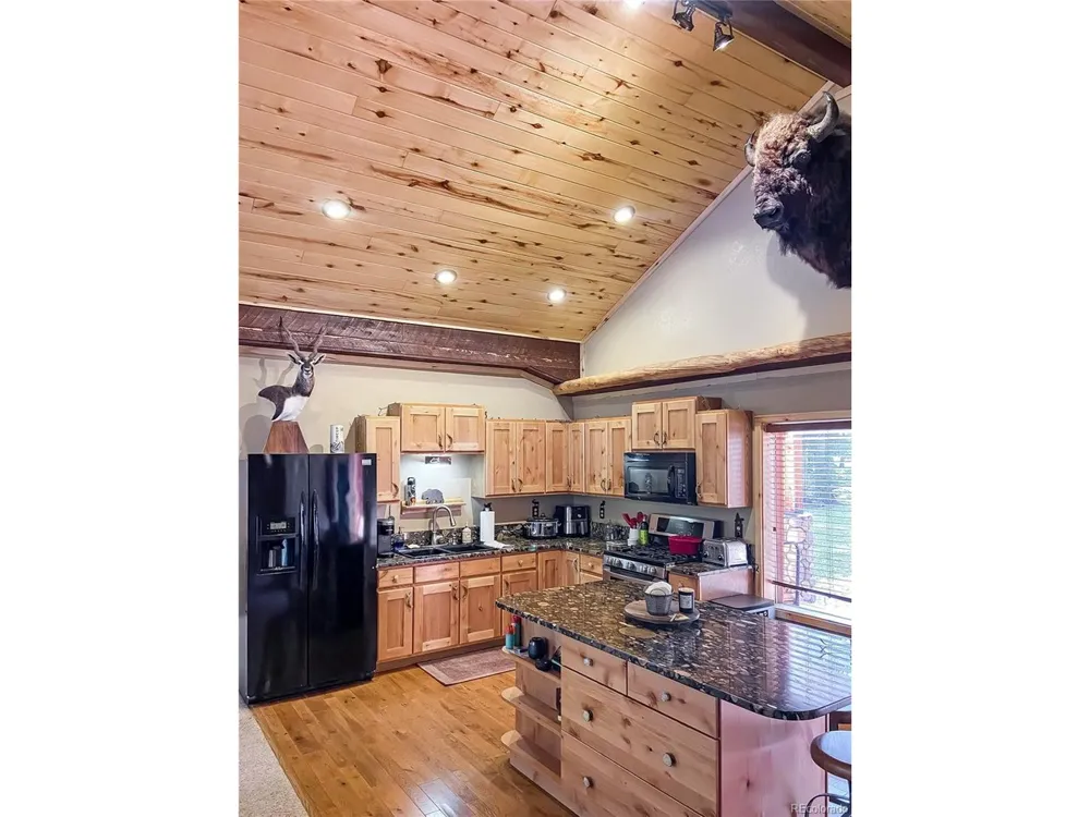 28 Bear Run St Antonito, CO 81120