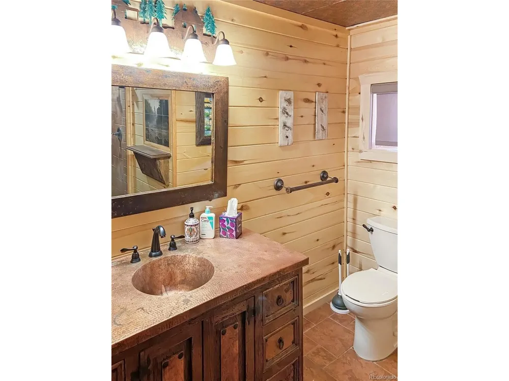 28 Bear Run St Antonito, CO 81120