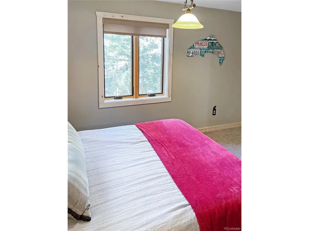 28 Bear Run St Antonito, CO 81120