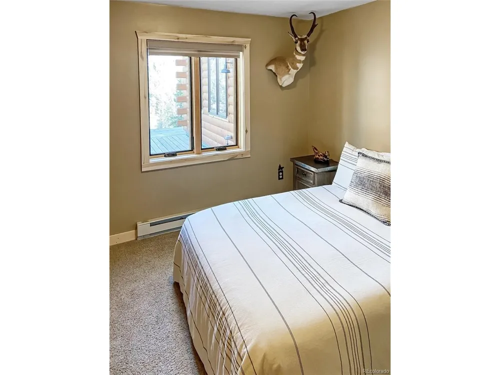28 Bear Run St Antonito, CO 81120