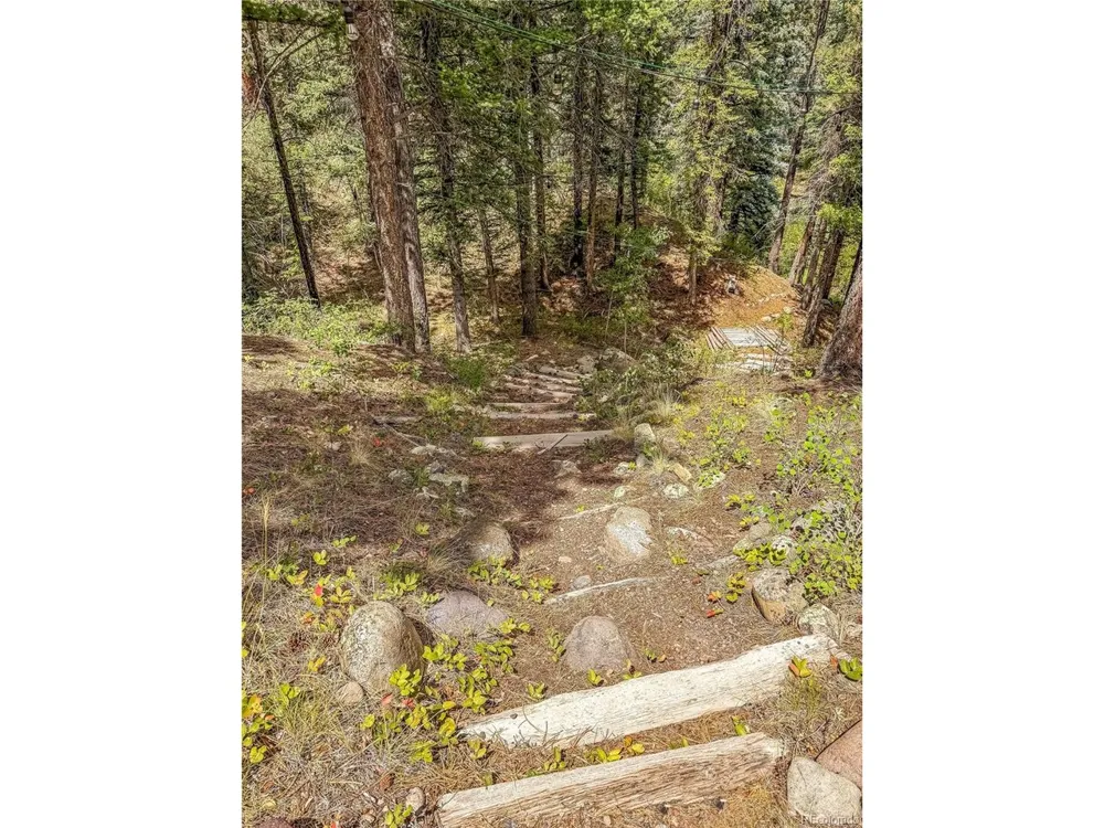 28 Bear Run St Antonito, CO 81120