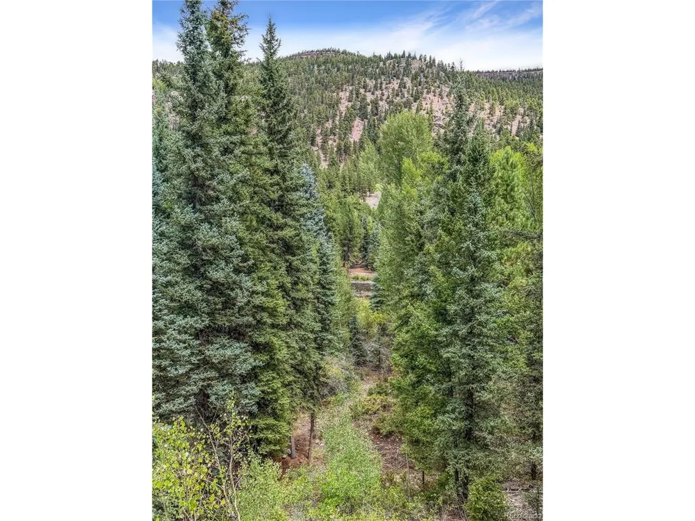 28 Bear Run St Antonito, CO 81120