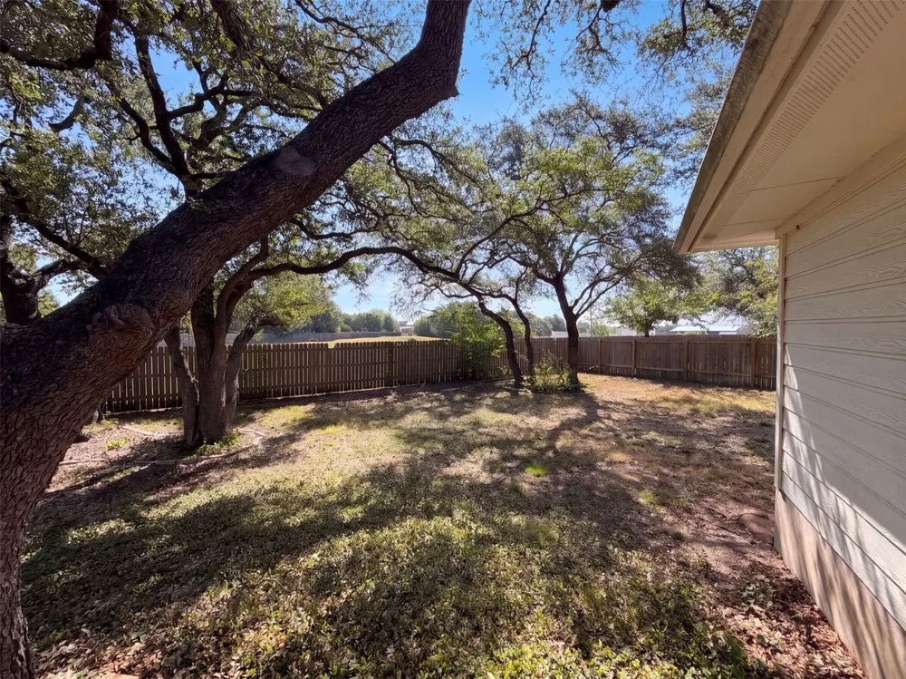 1315 Tumbling River Drive Leander, TX 78641