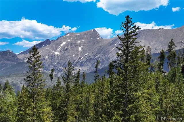310 Arapahoe Road Winter Park, CO 80482