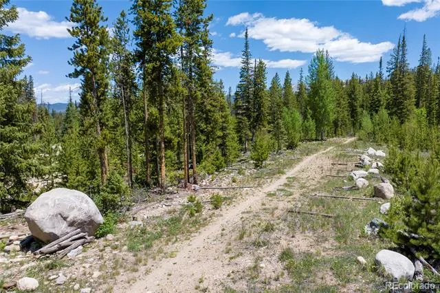 310 Arapahoe Road Winter Park, CO 80482