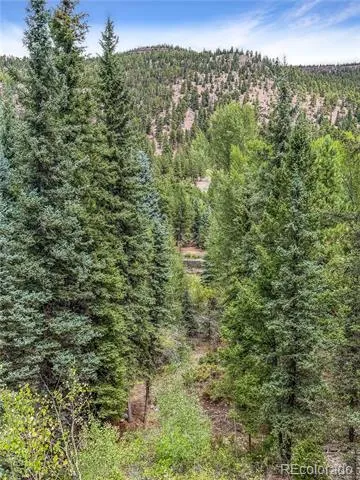 28 Bear Run St Antonito, CO 81120