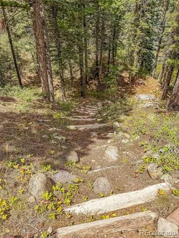 28 Bear Run St Antonito, CO 81120