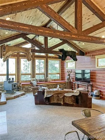 28 Bear Run St Antonito, CO 81120