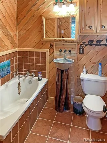 28 Bear Run St Antonito, CO 81120