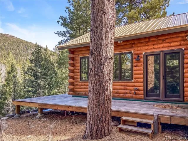 28 Bear Run St Antonito, CO 81120