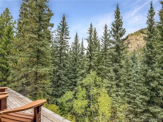 28 Bear Run St Antonito, CO 81120