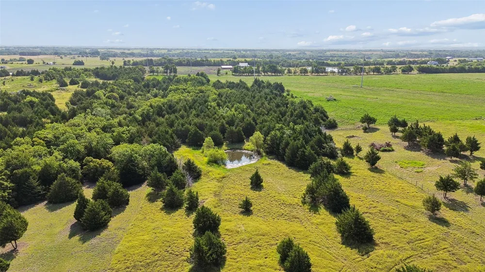 11920 County Road 670 Blue Ridge, TX 75424