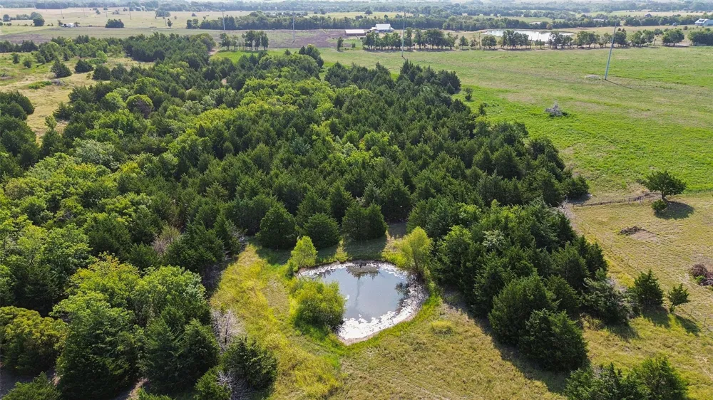 11920 County Road 670 Blue Ridge, TX 75424