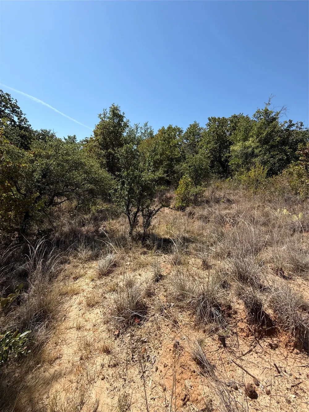 2181 Fm 1476 Dublin, TX 76446