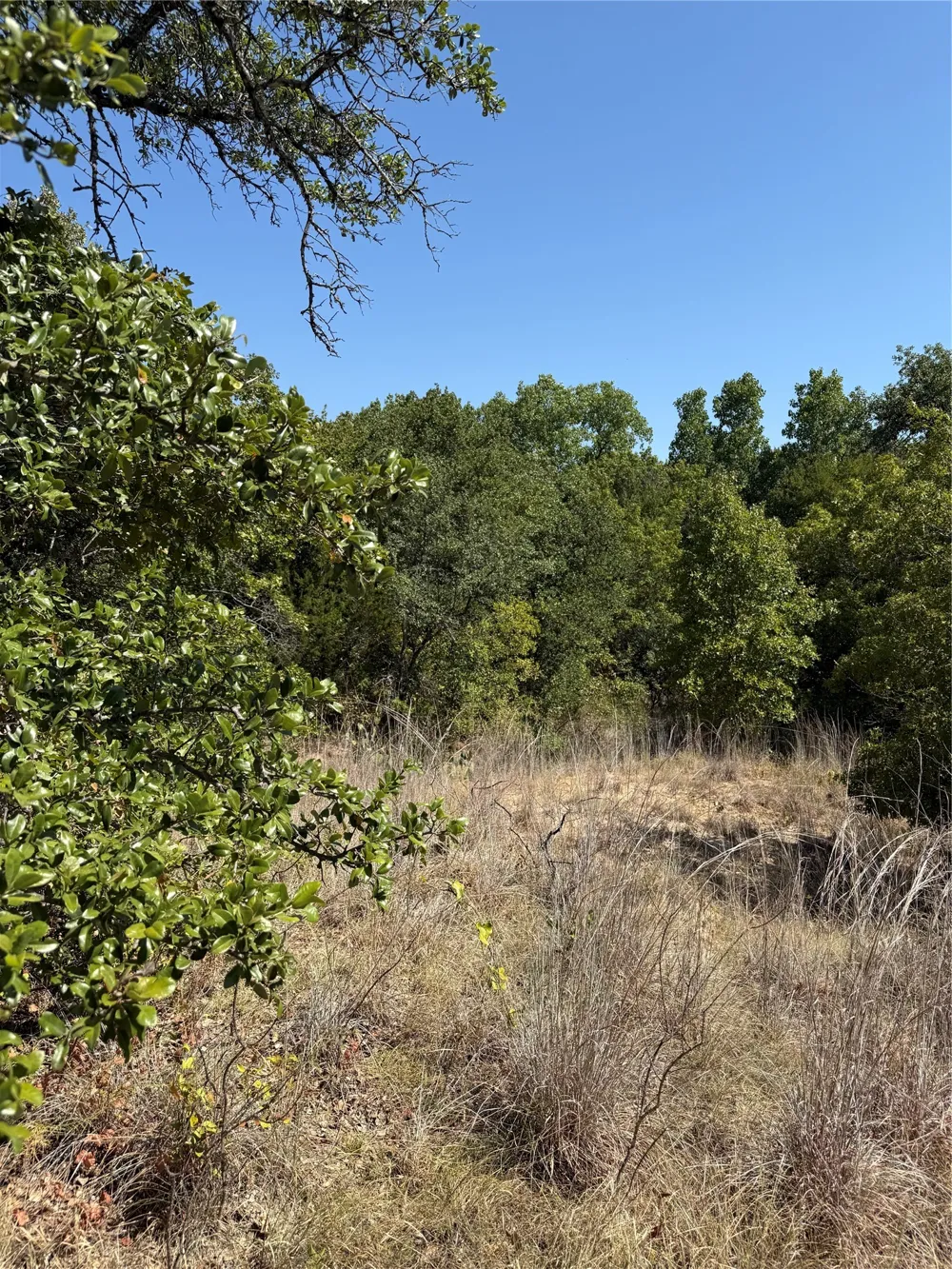 2181 Fm 1476 Dublin, TX 76446