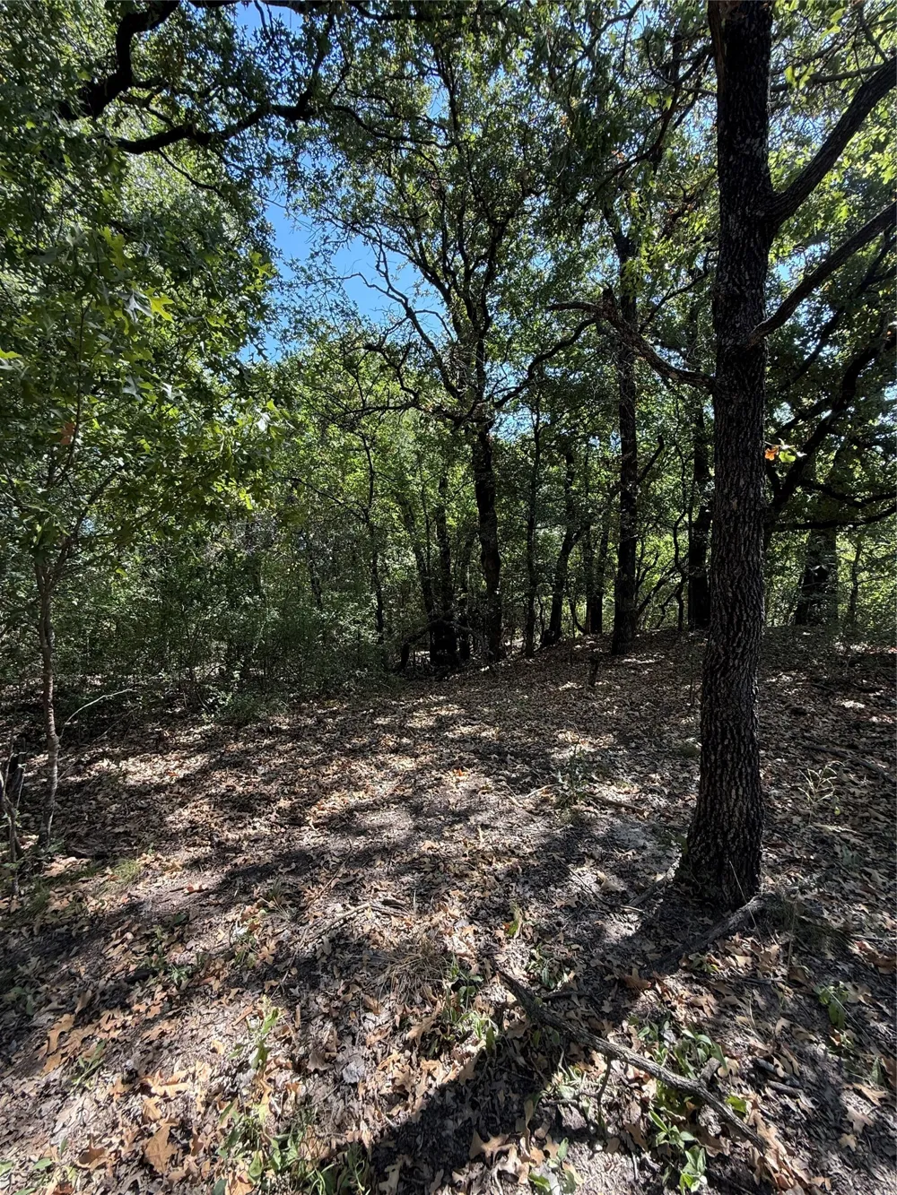 2181 Fm 1476 Dublin, TX 76446