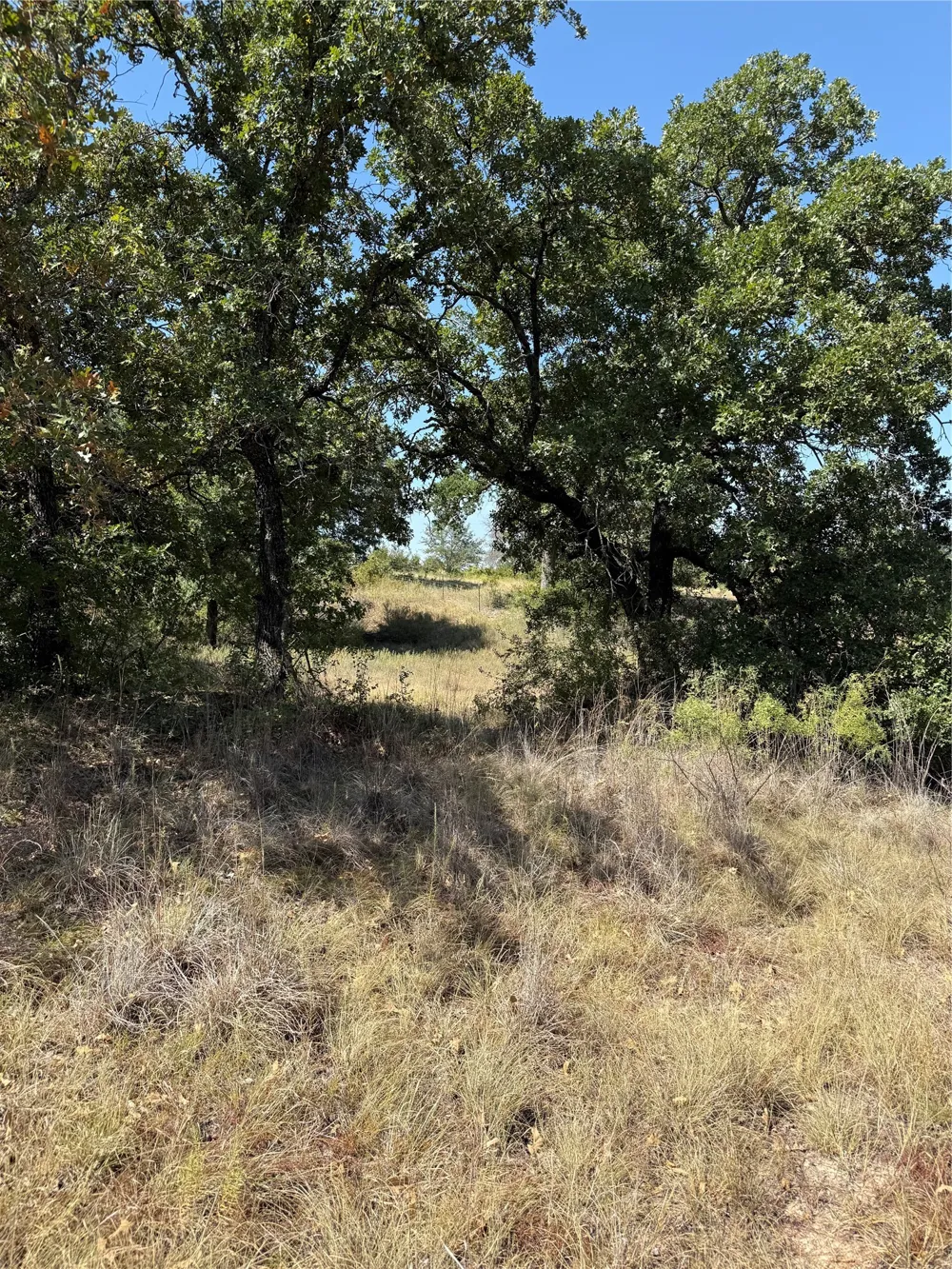2181 Fm 1476 Dublin, TX 76446