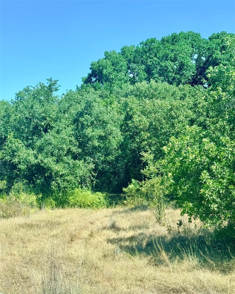 2181 Fm 1476 Dublin, TX 76446
