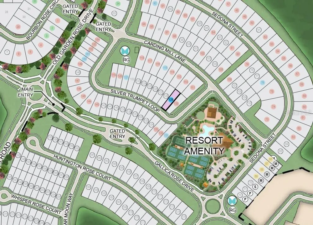 11202 SILVER TRUMPET LOOP Winter Garden, FL 34787