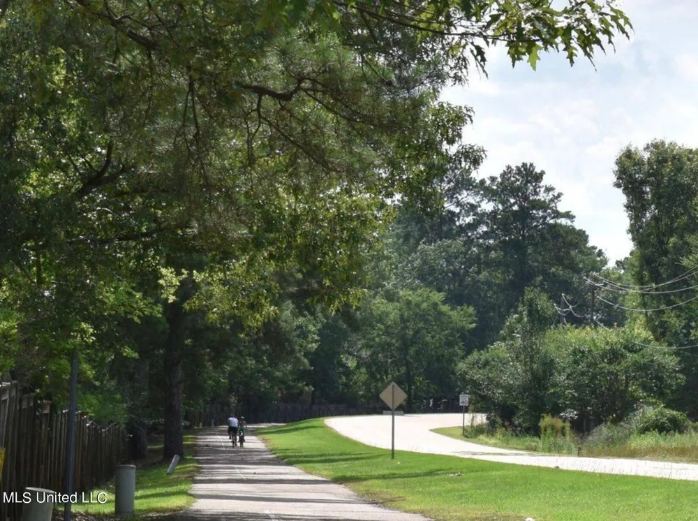 152 Peninsula Drive Brandon, MS 39047