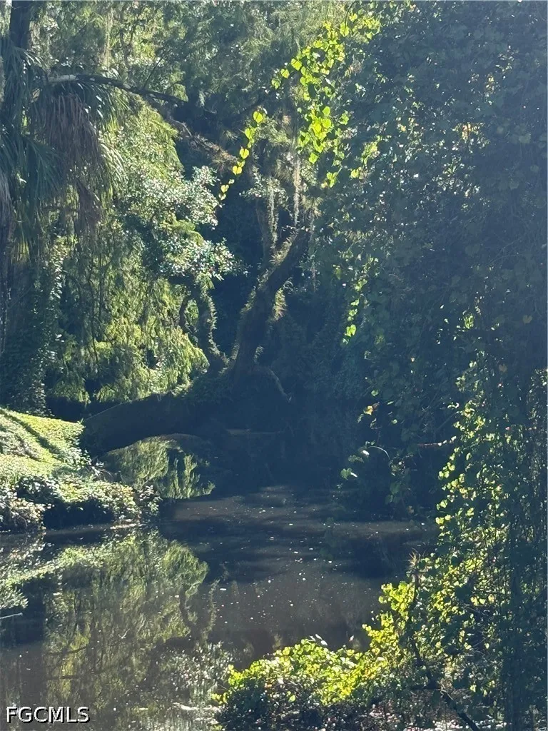 Creek Bridge Court Alva, FL 33920