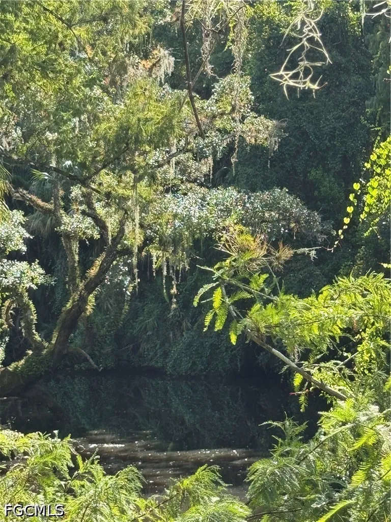 Creek Bridge Court Alva, FL 33920